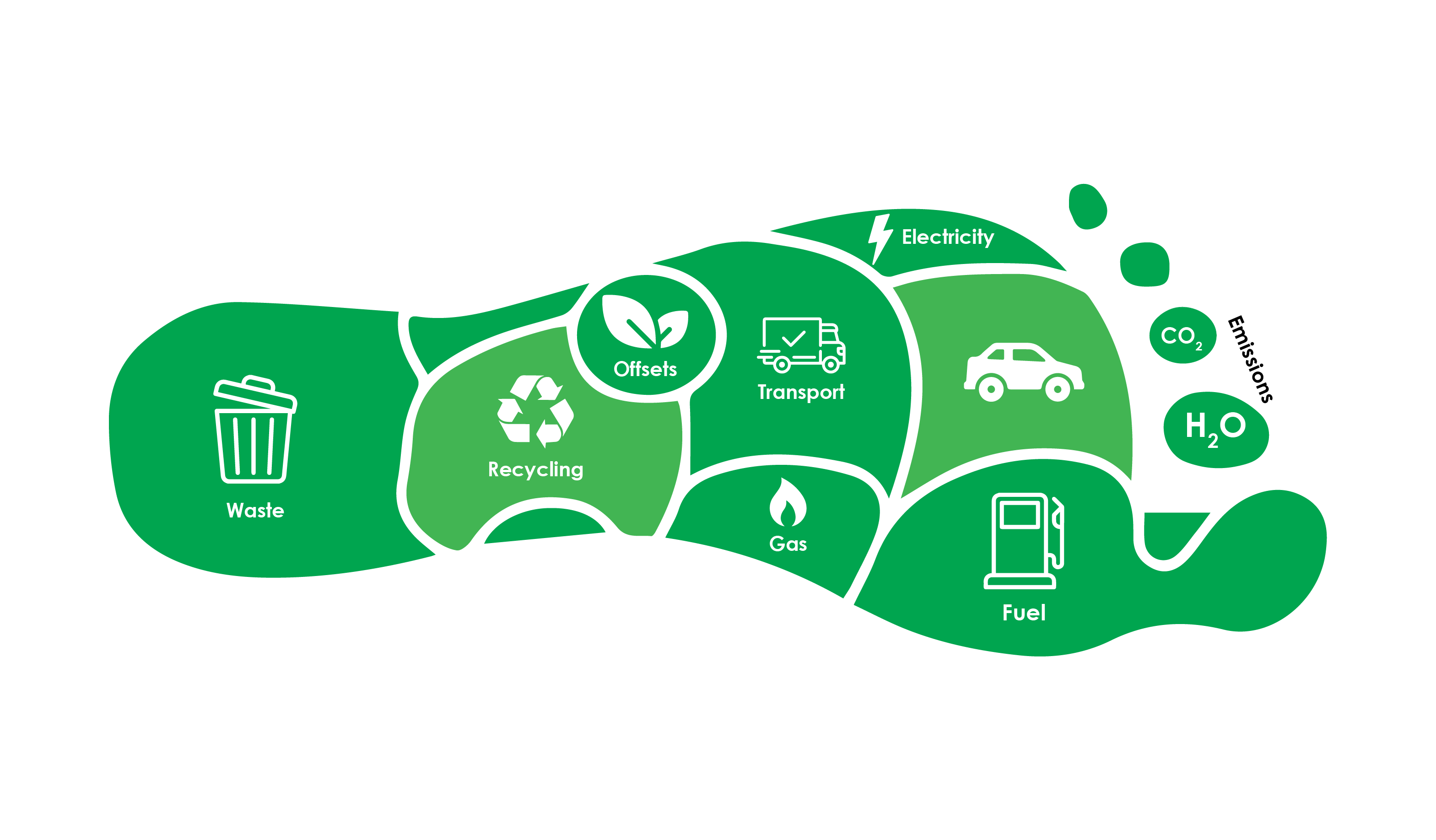 Carbon Footprint Verification